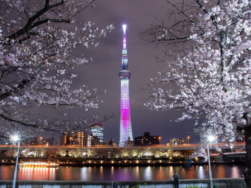 Rakuten STAY Tokyo Asakusa Twin Room Bed and Breakfast in Japan