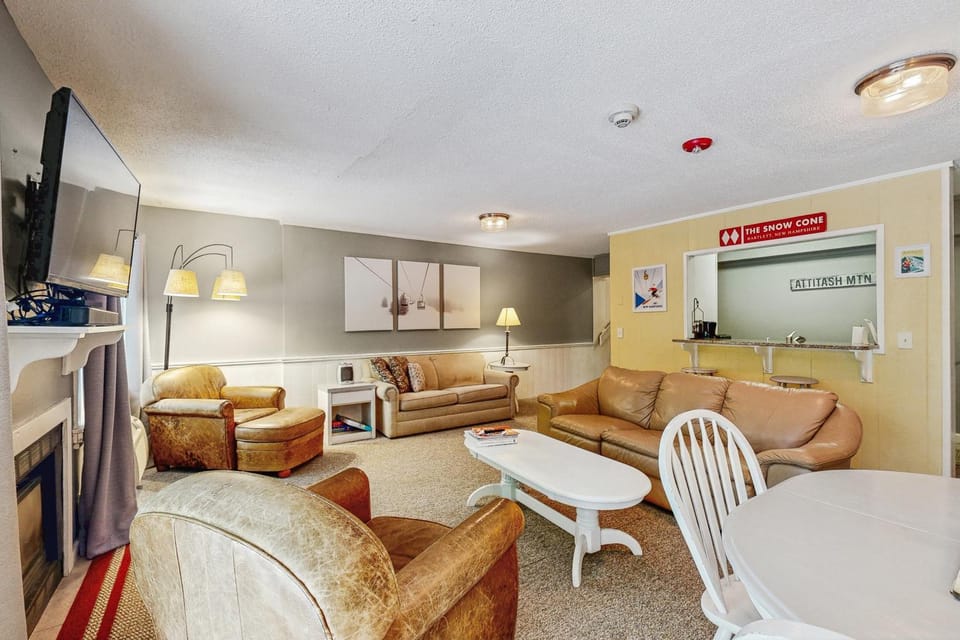 Snowcone Apartment in Bartlett