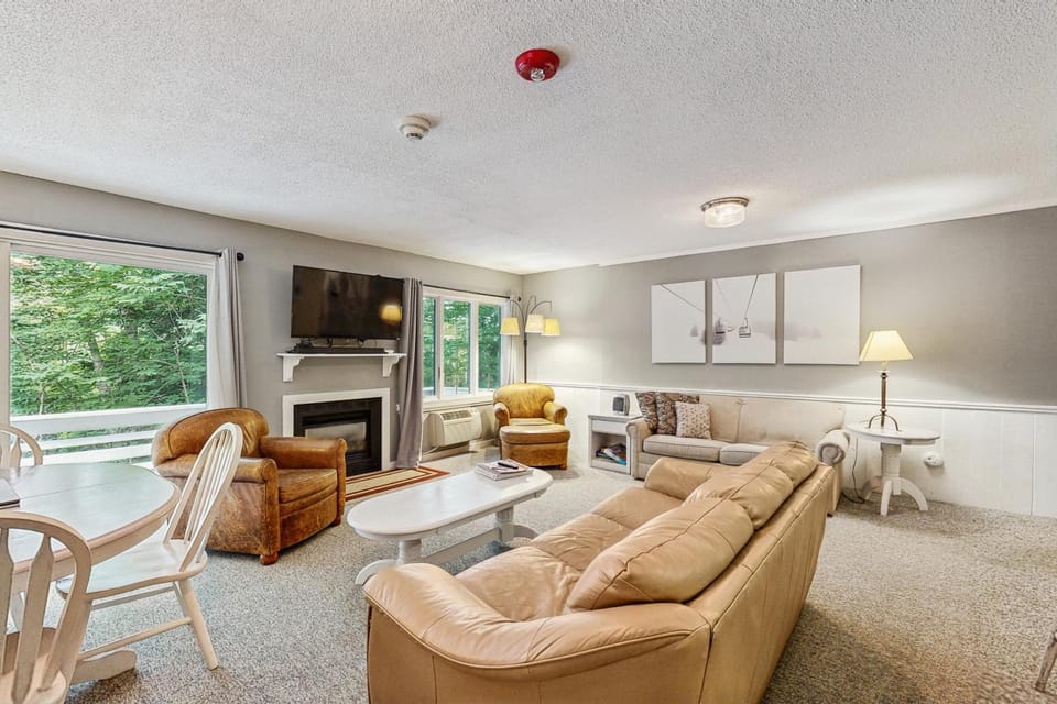 Snowcone Apartment in Bartlett