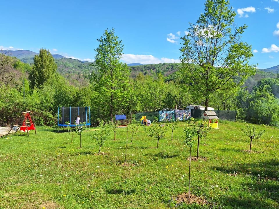 Casuta din Gradina House in Romania