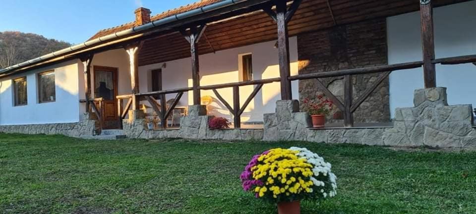 Casa de Peste Apă House in Romania