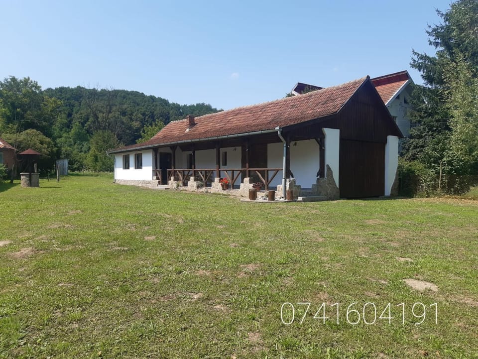 Casa de Peste Apă House in Romania