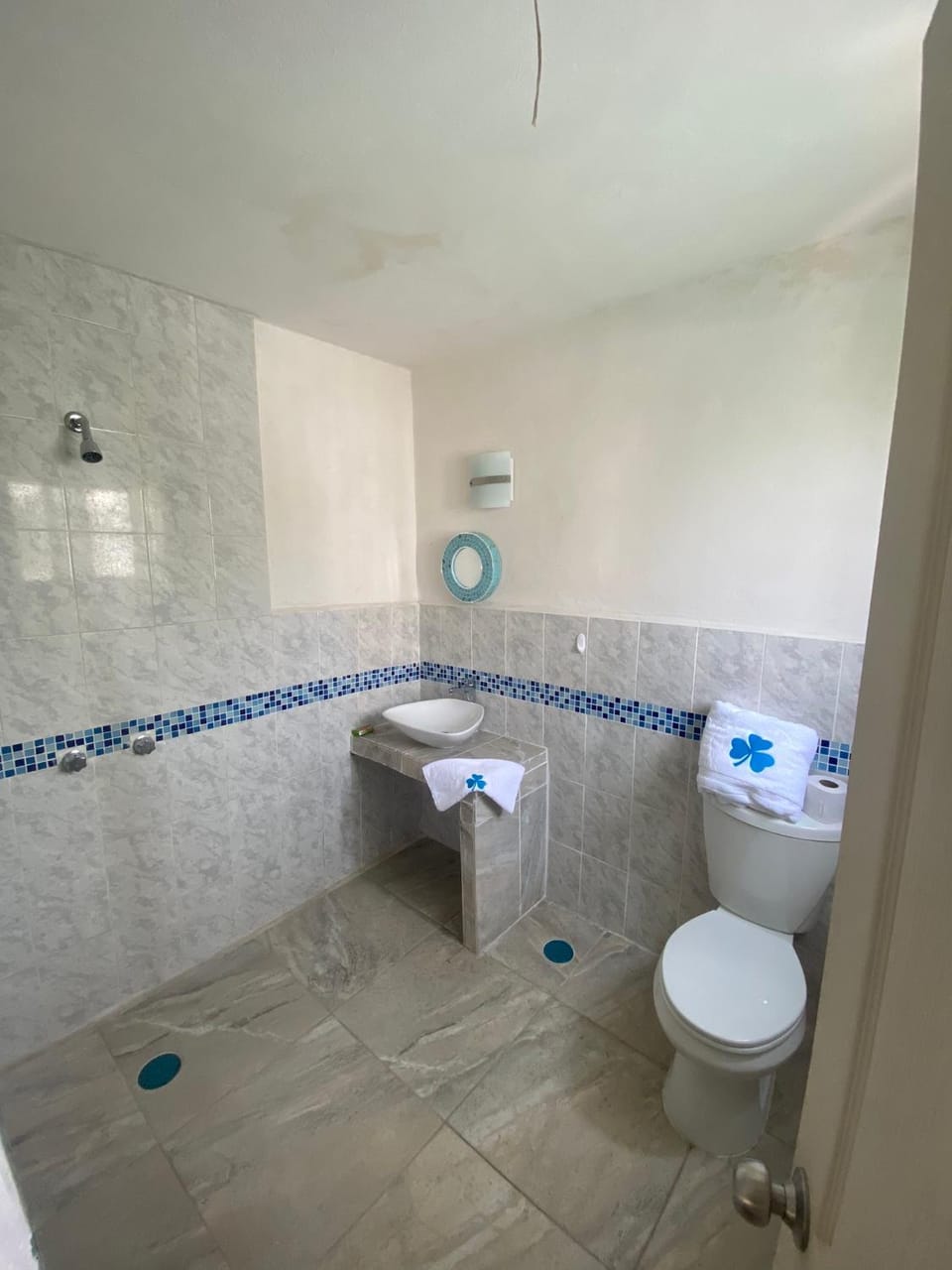 Shower, Toilet, Bathroom, towels