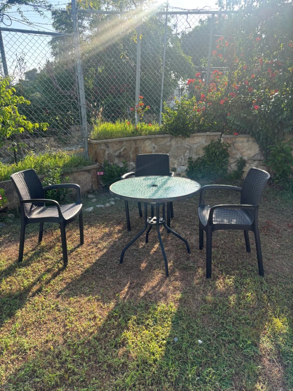 Casa del trébol House in Acapulco