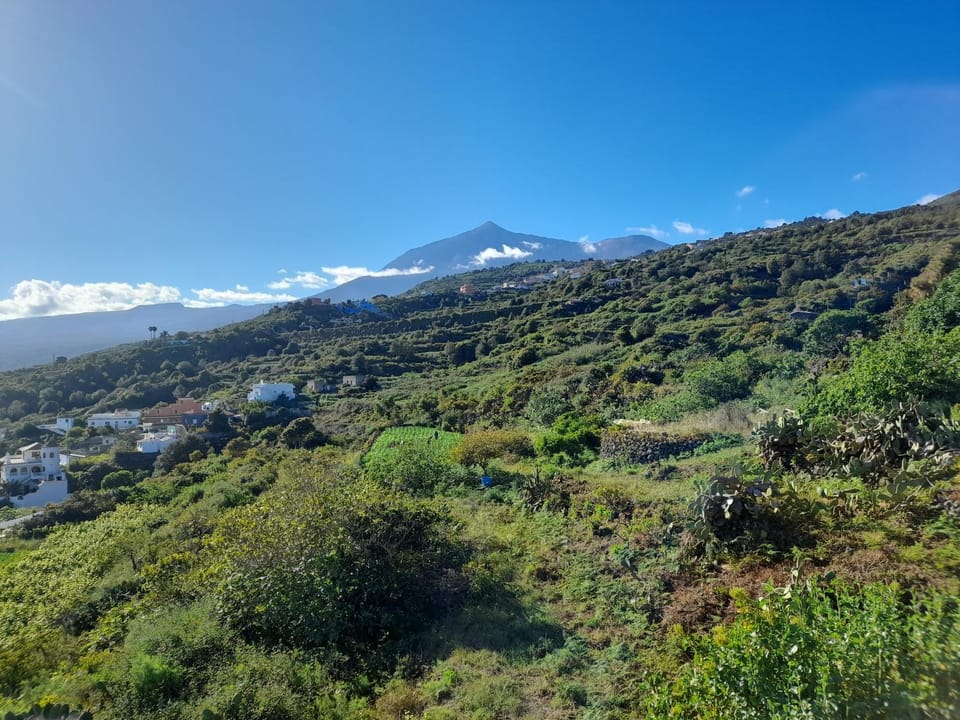 La casa del bisa House in Canary Islands