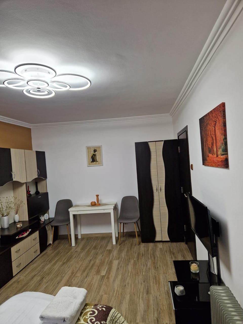 Garsoniera Apartment in Serbia