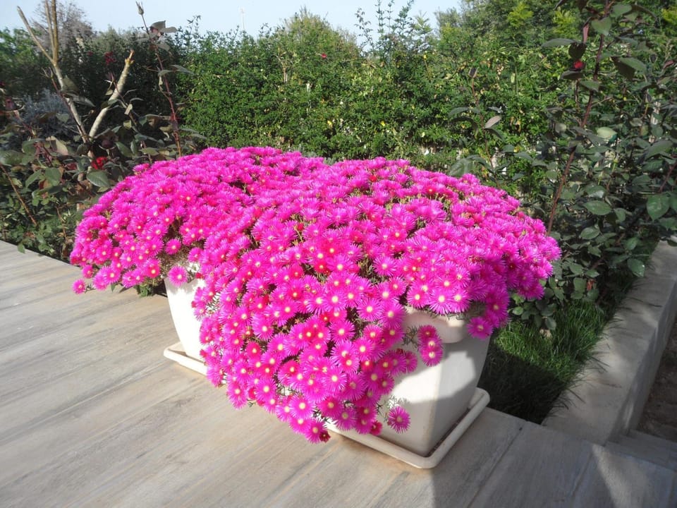 La Dimora di Ntò Bed and Breakfast in Sicily