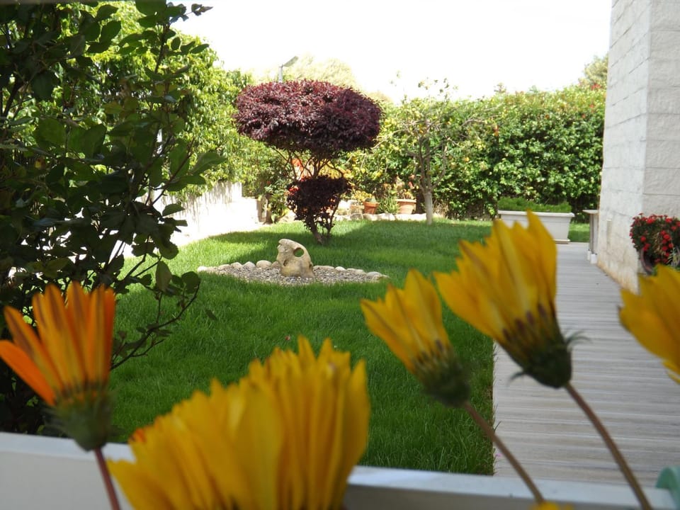 Garden view