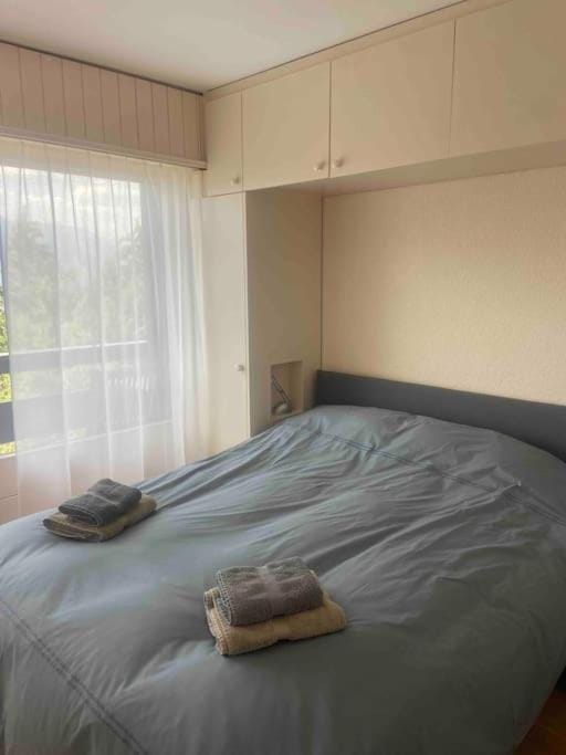 Clair Vue A3 near Télécabine by Jolidi Cabin in Nendaz