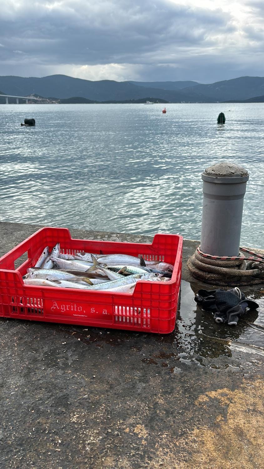 Apartment Mustapic Apartment in Dubrovnik-Neretva County