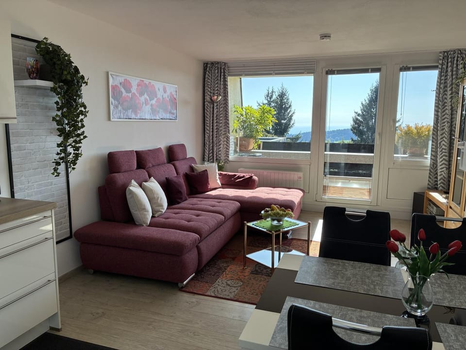 Komfortable Wohnungen und Studio in Sankt Englmar Apartment in Straubing-Bogen