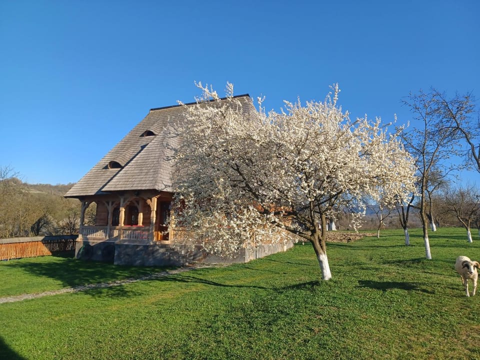Spring