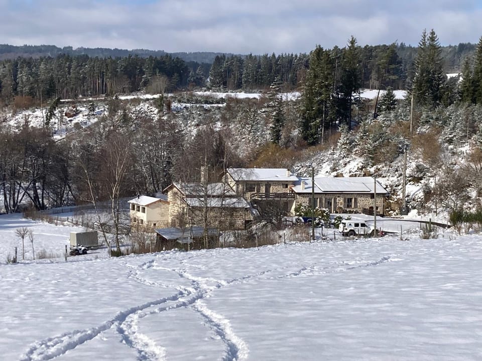 Property building, Winter