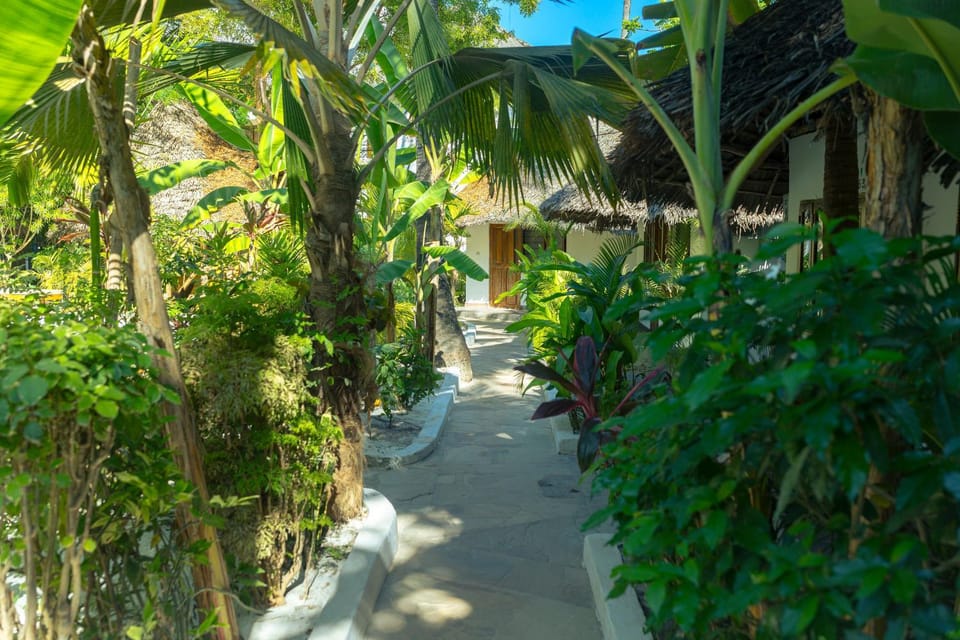Facade/entrance, Garden view