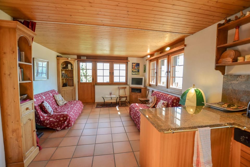 Vieux Valais Malisse Apartment in Canton of Valais