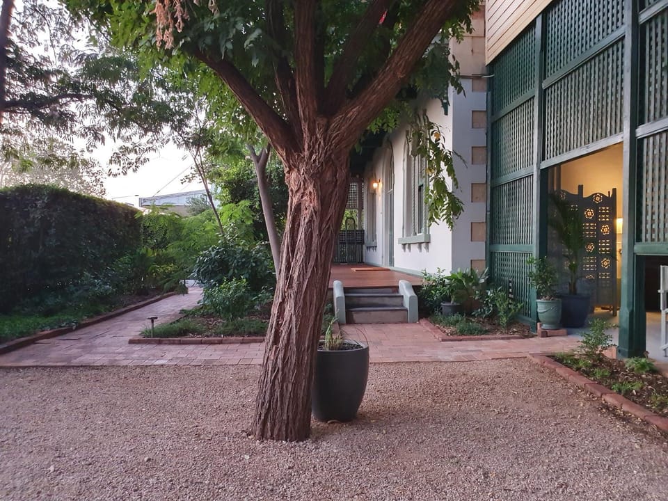 Garden view