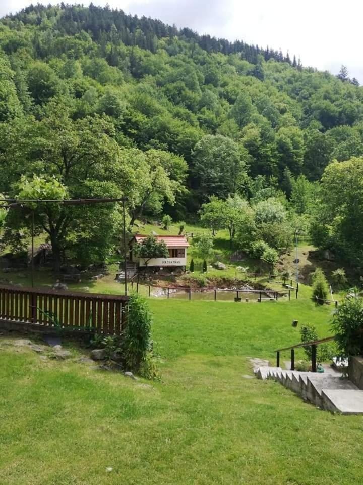 Pensiune Piatra Mare Villa in Prahova, Romania