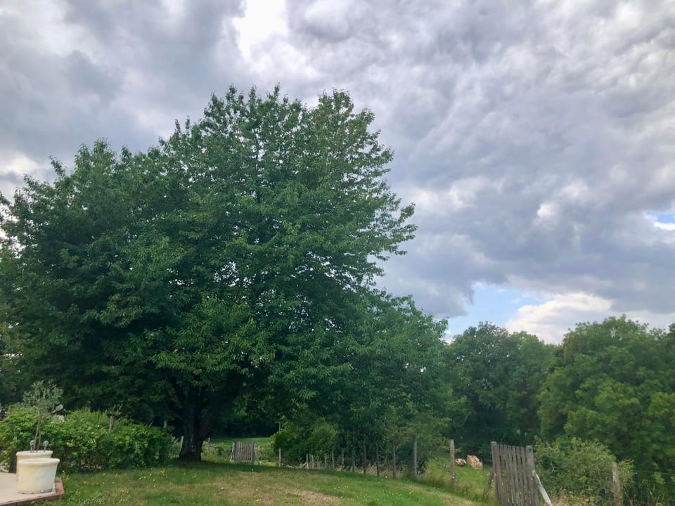 Le Cerisier Saint-Barbant Bed and Breakfast in Nouvelle-Aquitaine