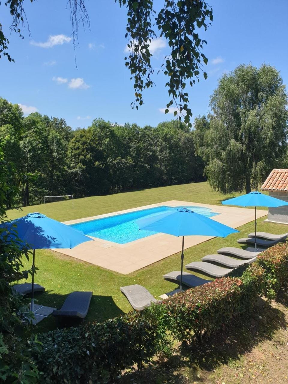 Day, Natural landscape, Garden, Garden view, Pool view, Swimming pool, sunbed