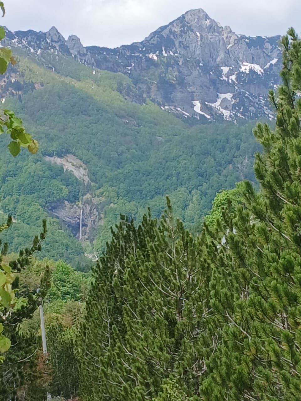 Bujtina Albjoni Bed and Breakfast in Montenegro