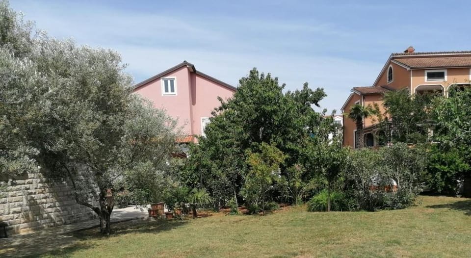 Patio, Garden, Garden view