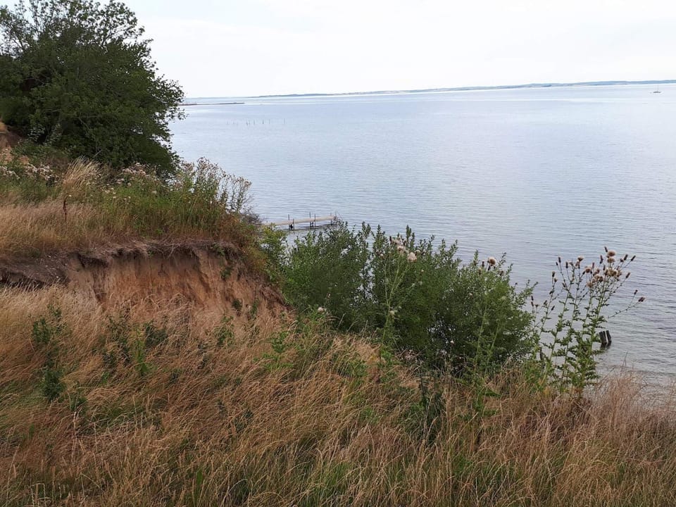 Lake view