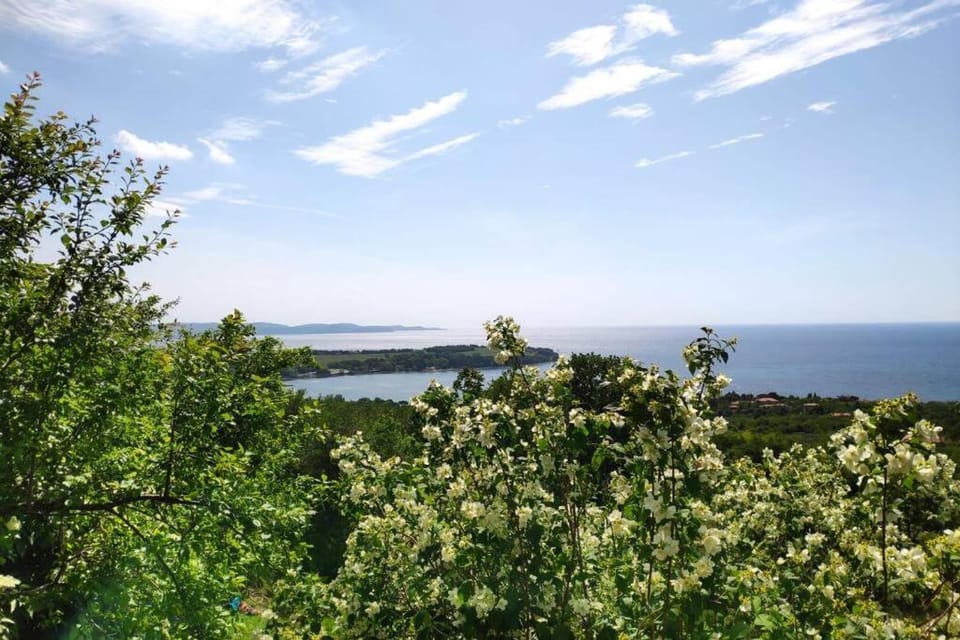 Casa Vacanza tra Cielo e Mare House in Friuli-Venezia Giulia