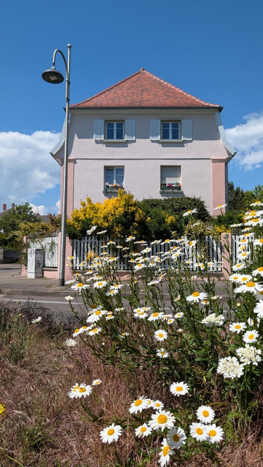 Property building, Spring