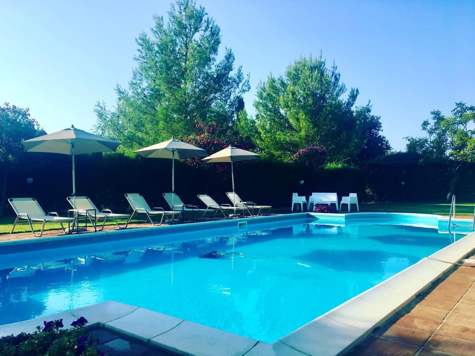 Swimming pool, sunbed
