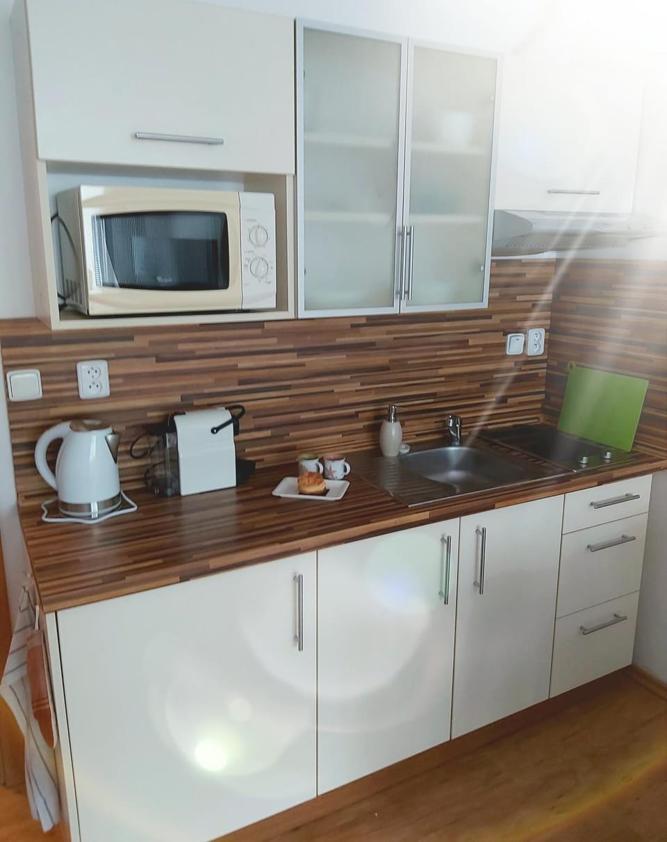 Apartmán JaFi Lipno nad Vltavou Apartment in Lipno nad Vltavou