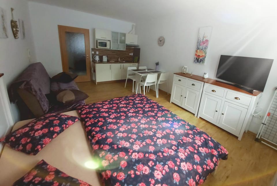 Apartmán JaFi Lipno nad Vltavou Apartment in Lipno nad Vltavou
