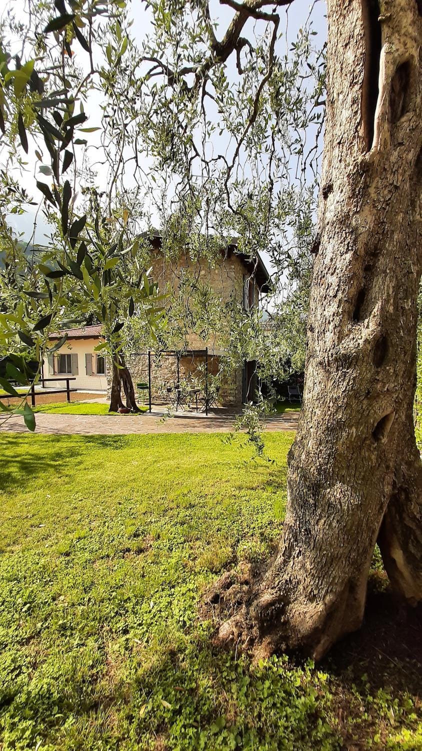 Garden, Garden view
