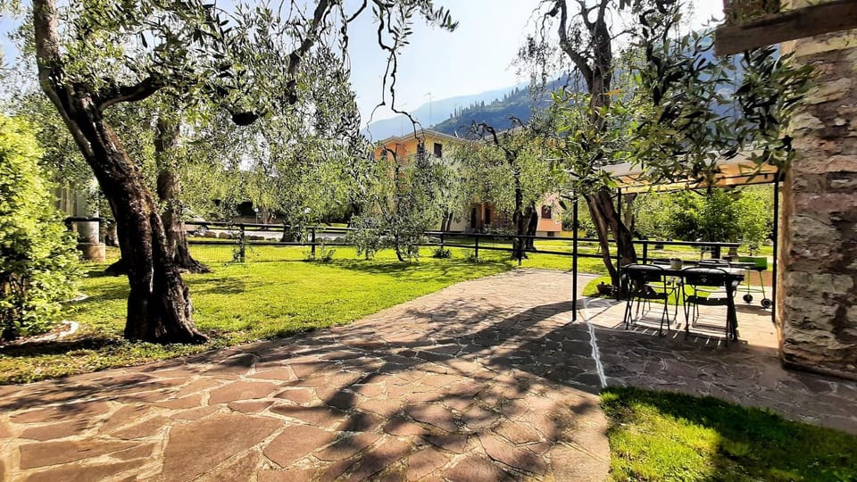 Garden, Garden view
