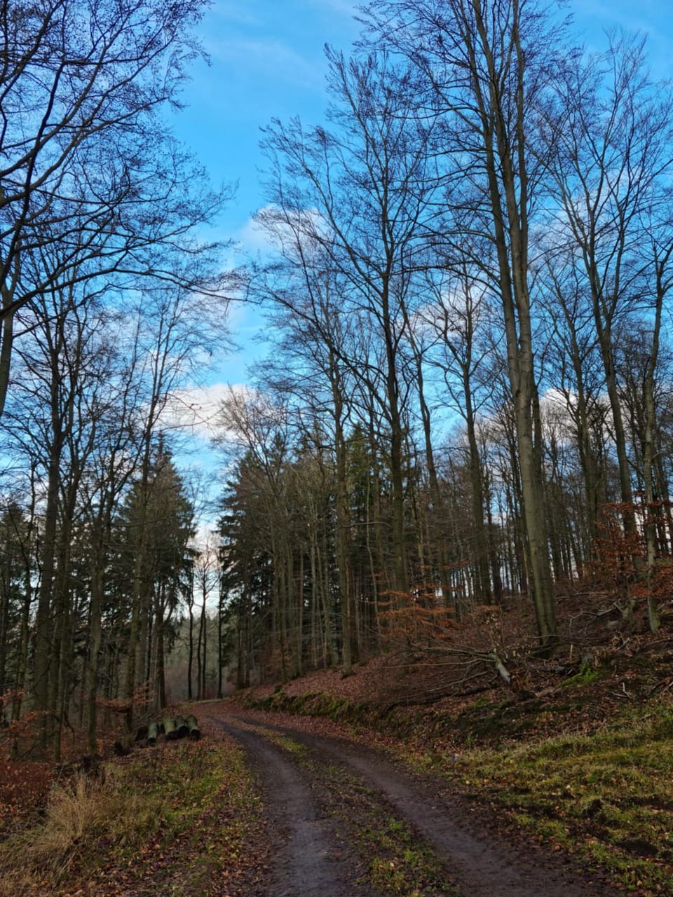 Spring, Day, Natural landscape, Hiking