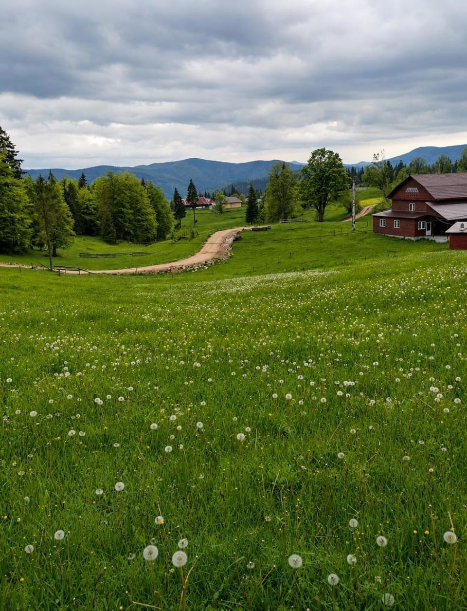 Natural landscape