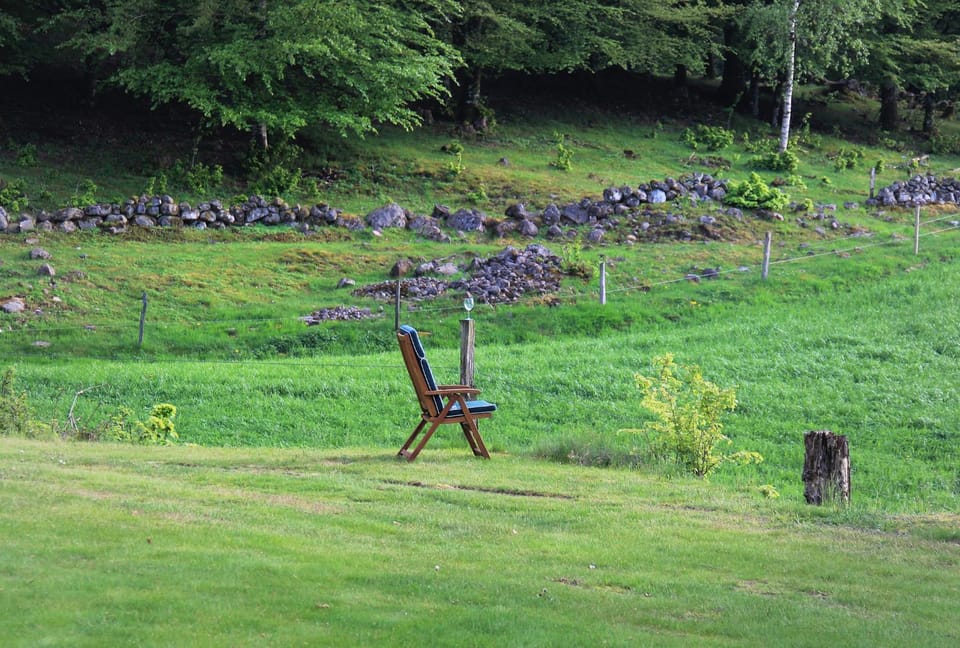 Natural landscape, Garden, Garden view