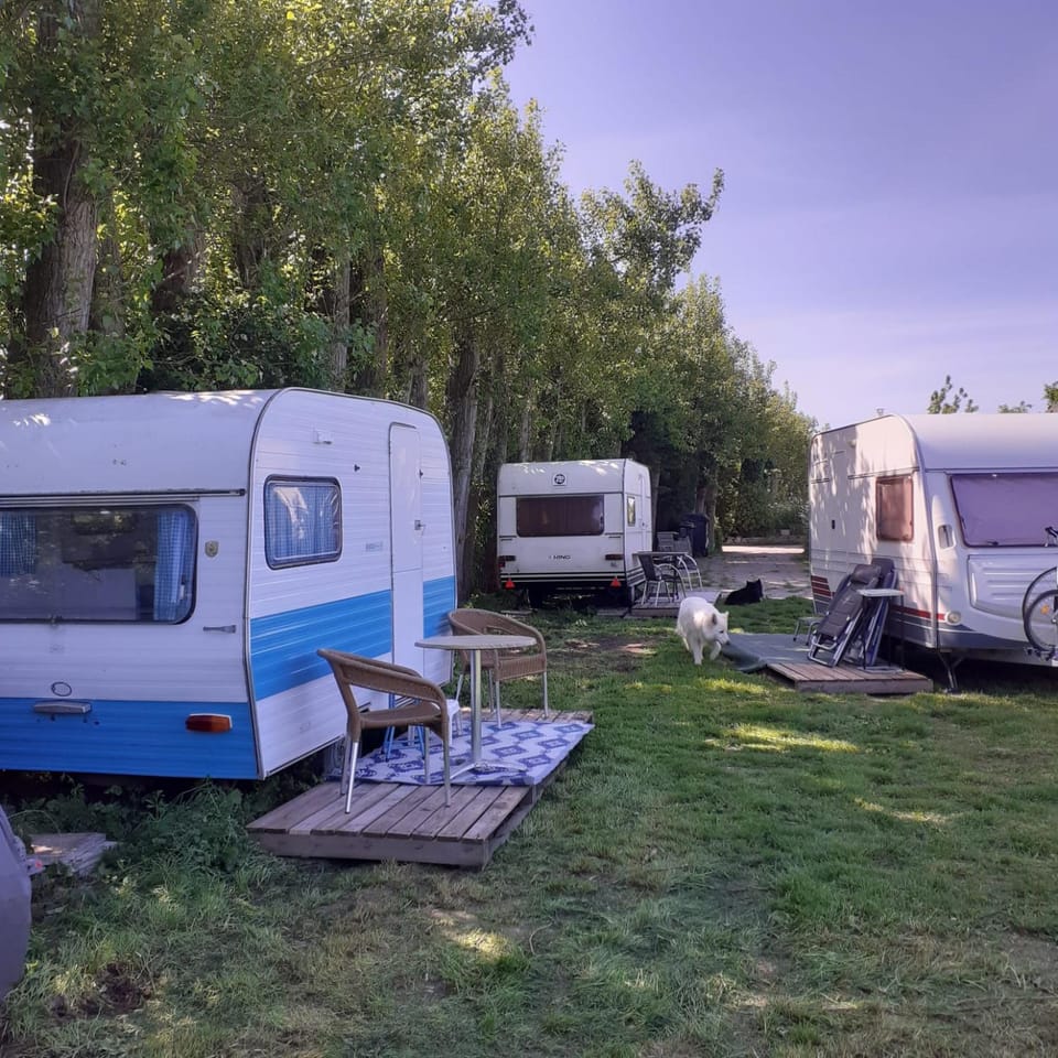 Wijndomein de Vier Ambachten -overnachten in de wijngaard Campground/ 
RV Resort in South Holland (province)