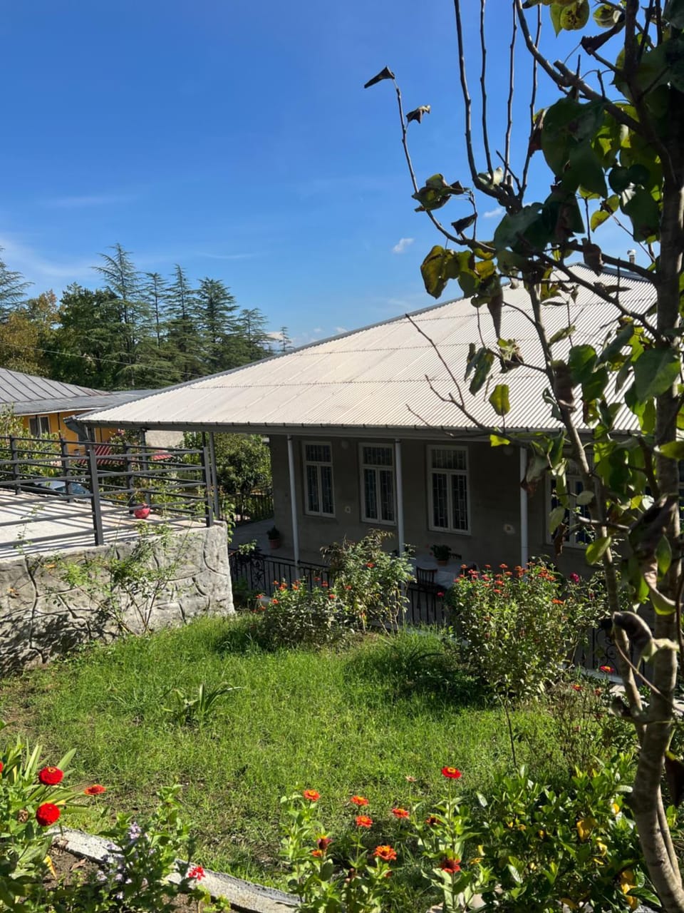 Garden view