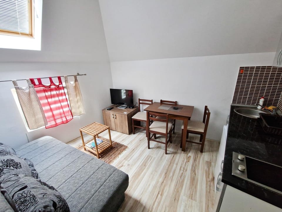 TV and multimedia, Kitchen or kitchenette, Photo of the whole room, Seating area, Dining area, hair dresser
