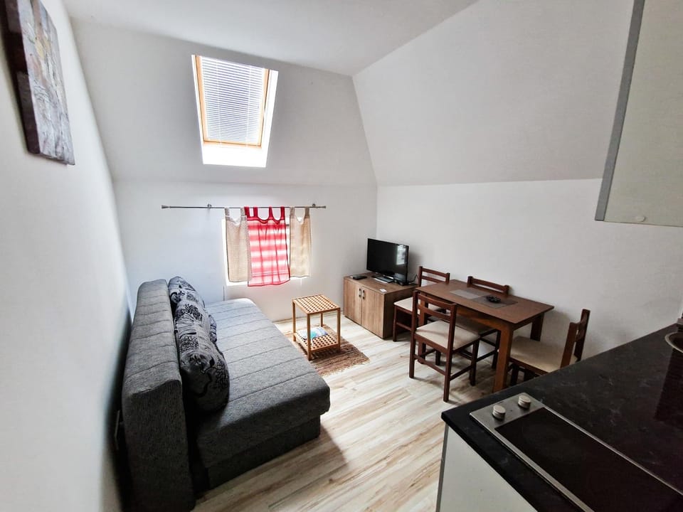 Communal lounge/ TV room, TV and multimedia, Kitchen or kitchenette, Living room, Seating area, Dining area