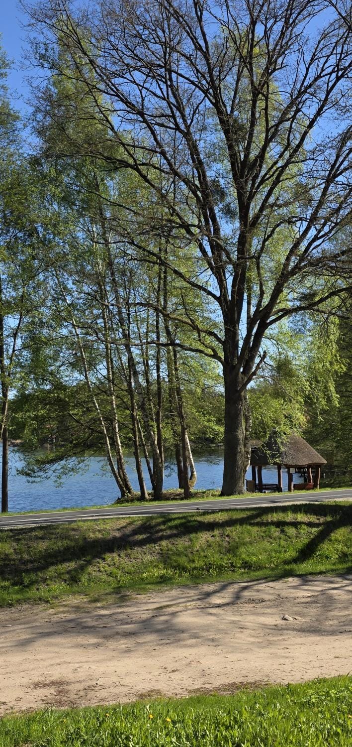 Natural landscape