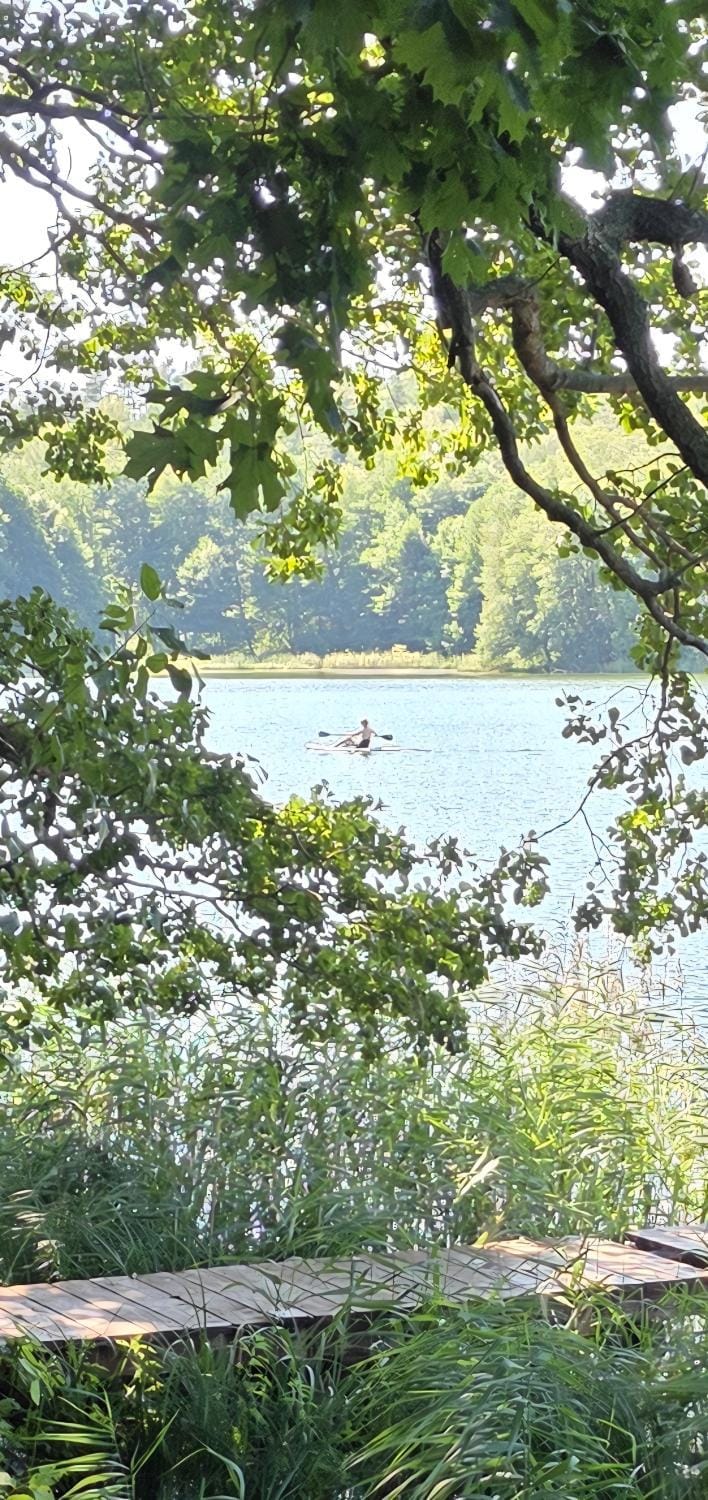 Lake view