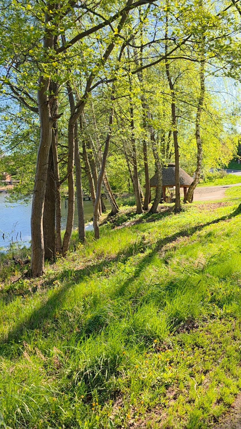 Natural landscape
