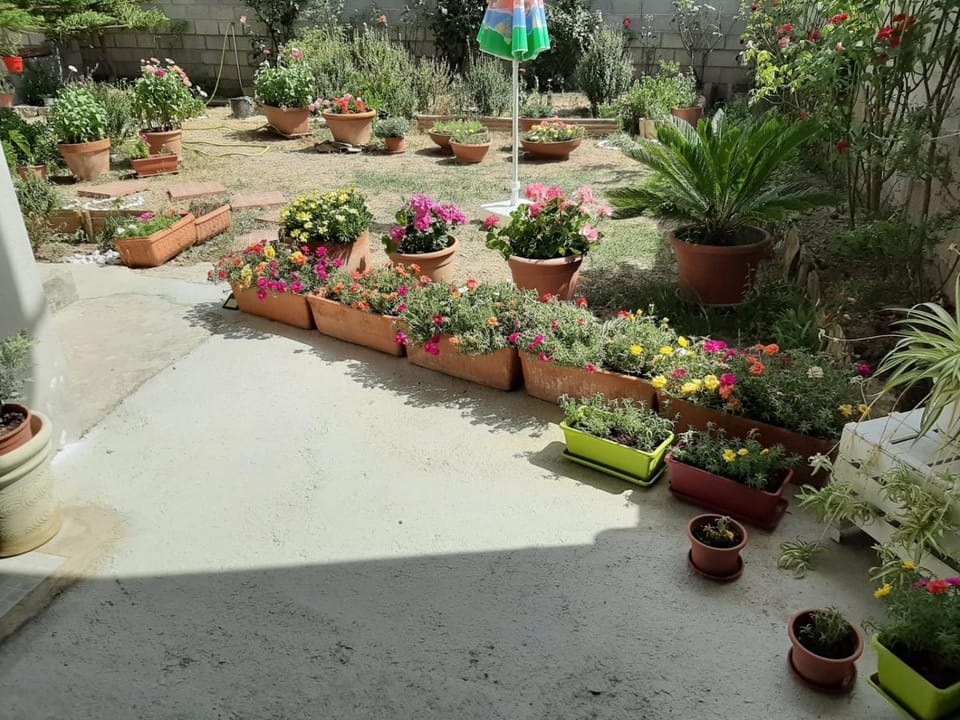 Casa vacanze Millefiori Apartment in Teulada