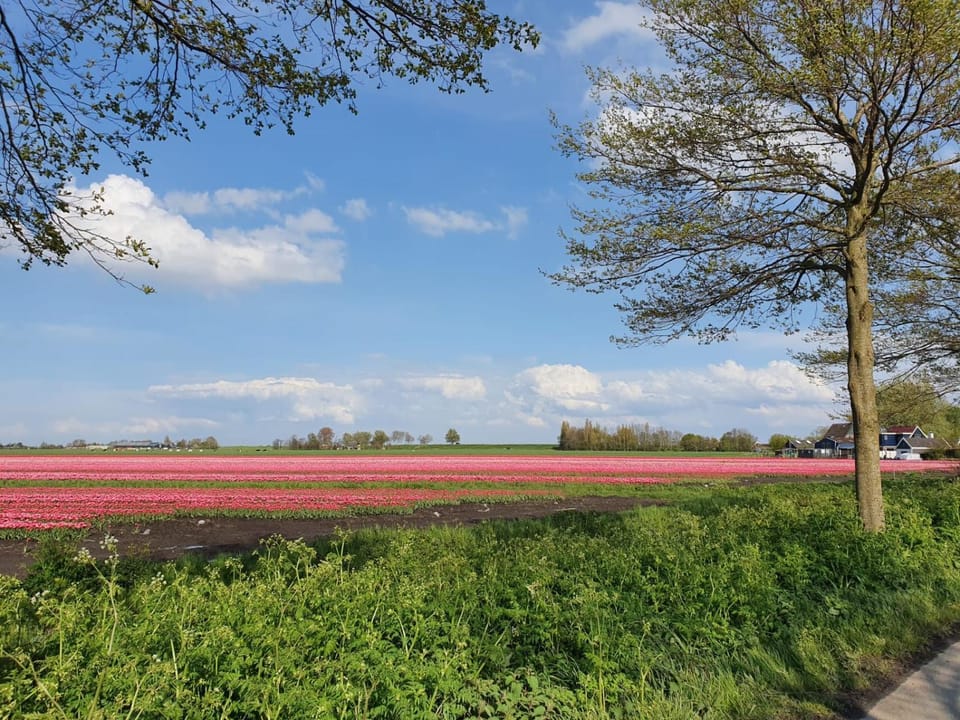 Bed & Breakfast De Leekerhoek Bed and Breakfast in Flevoland, Netherlands