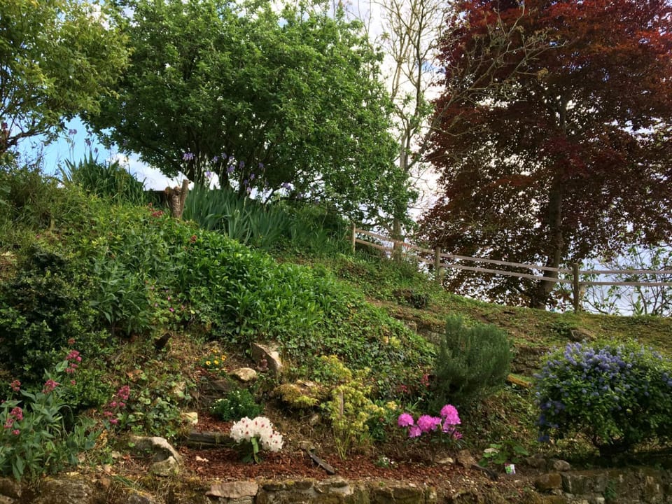 Natural landscape, Garden