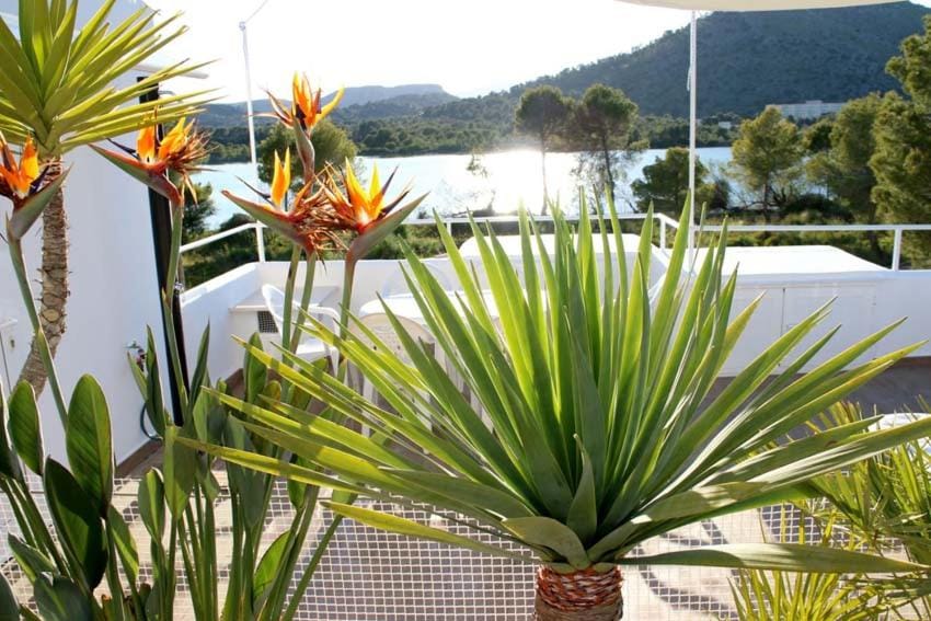 Garden, Garden, Lake view, Lake view, Mountain view, Mountain view