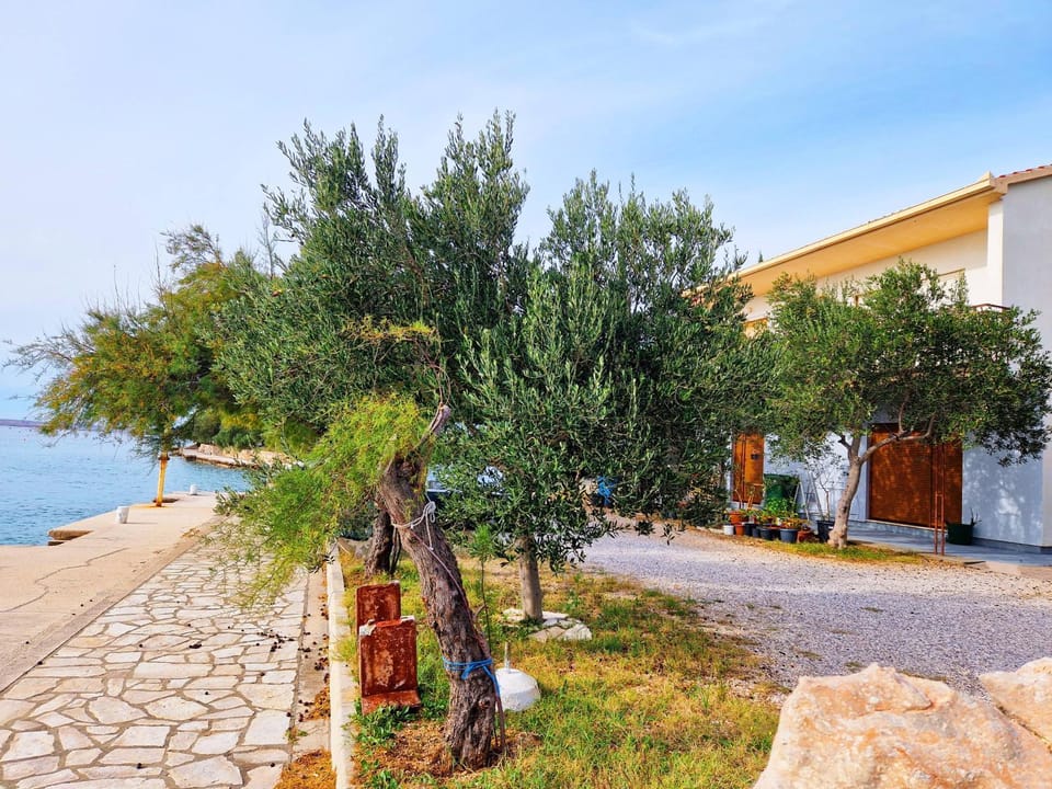 Property building, Beach
