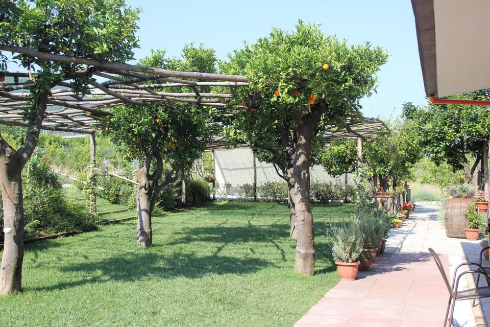 Terra e Cielo Bed and Breakfast in Campania
