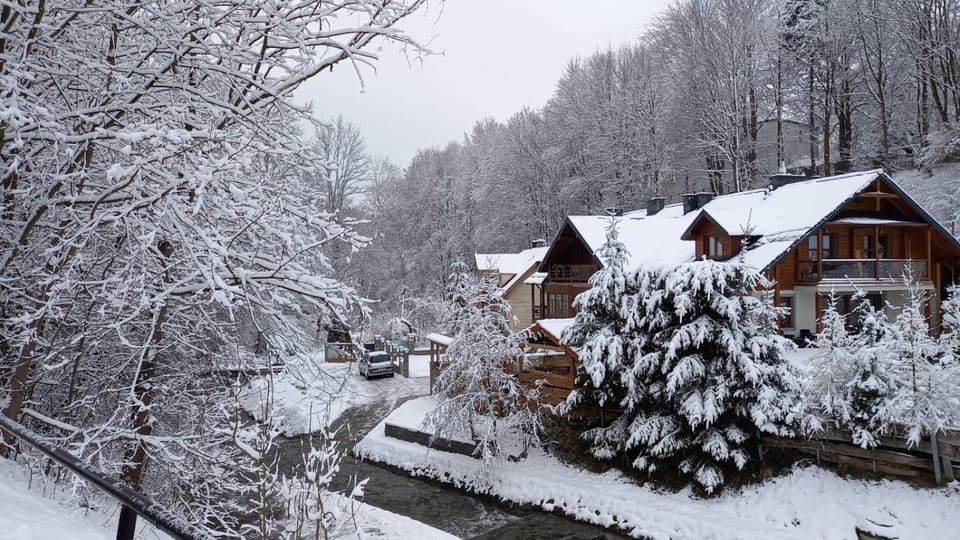 Winter
